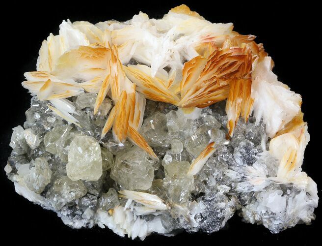 Cerussite Crystals with Bladed Barite on Galena- Morocco #44783